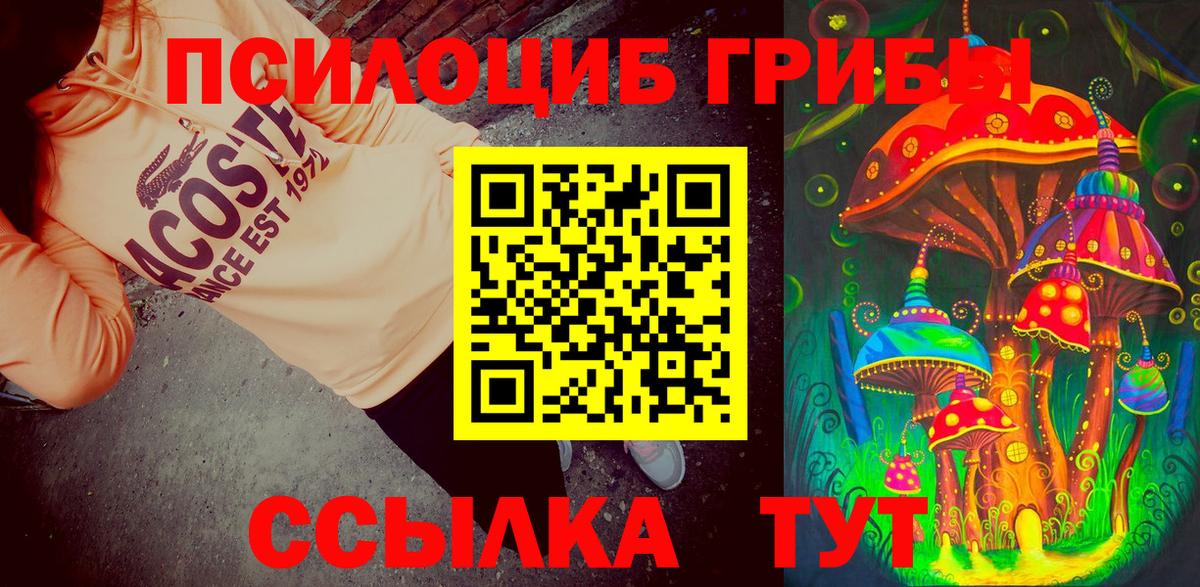 Псилоцибиновые грибы ЛСД Камышин